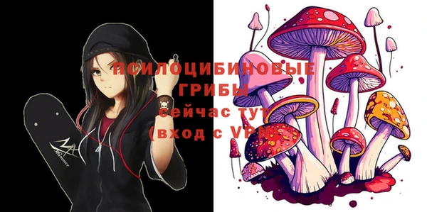 спайс Михайлов