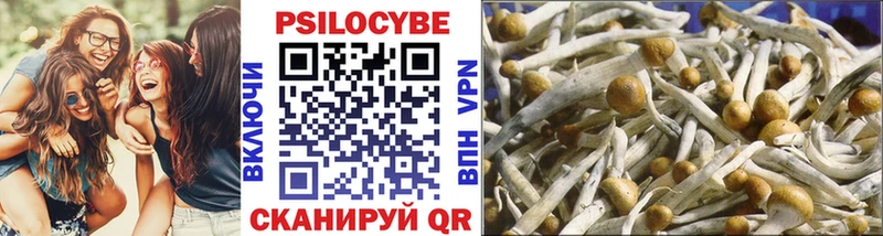 где продают Асбест Псилоцибиновые грибы Magic Shrooms